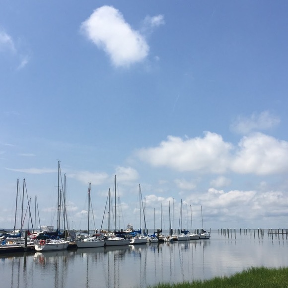 Meet your Posher, Lauren - Picture 1 of 1